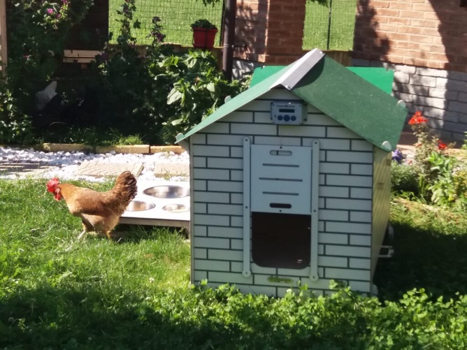 Valorizza il tuo giardino con un bel pollaio domestico
